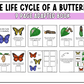 The Life Cycle of a Butterfly Adapted Book