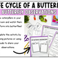 The Life Cycle of a Butterfly Adapted Unit