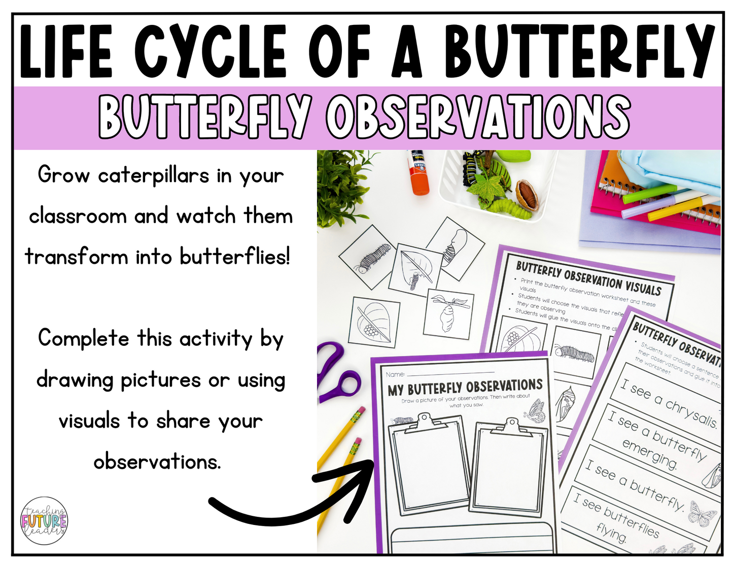 The Life Cycle of a Butterfly Adapted Unit