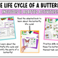 The Life Cycle of a Butterfly Adapted Unit