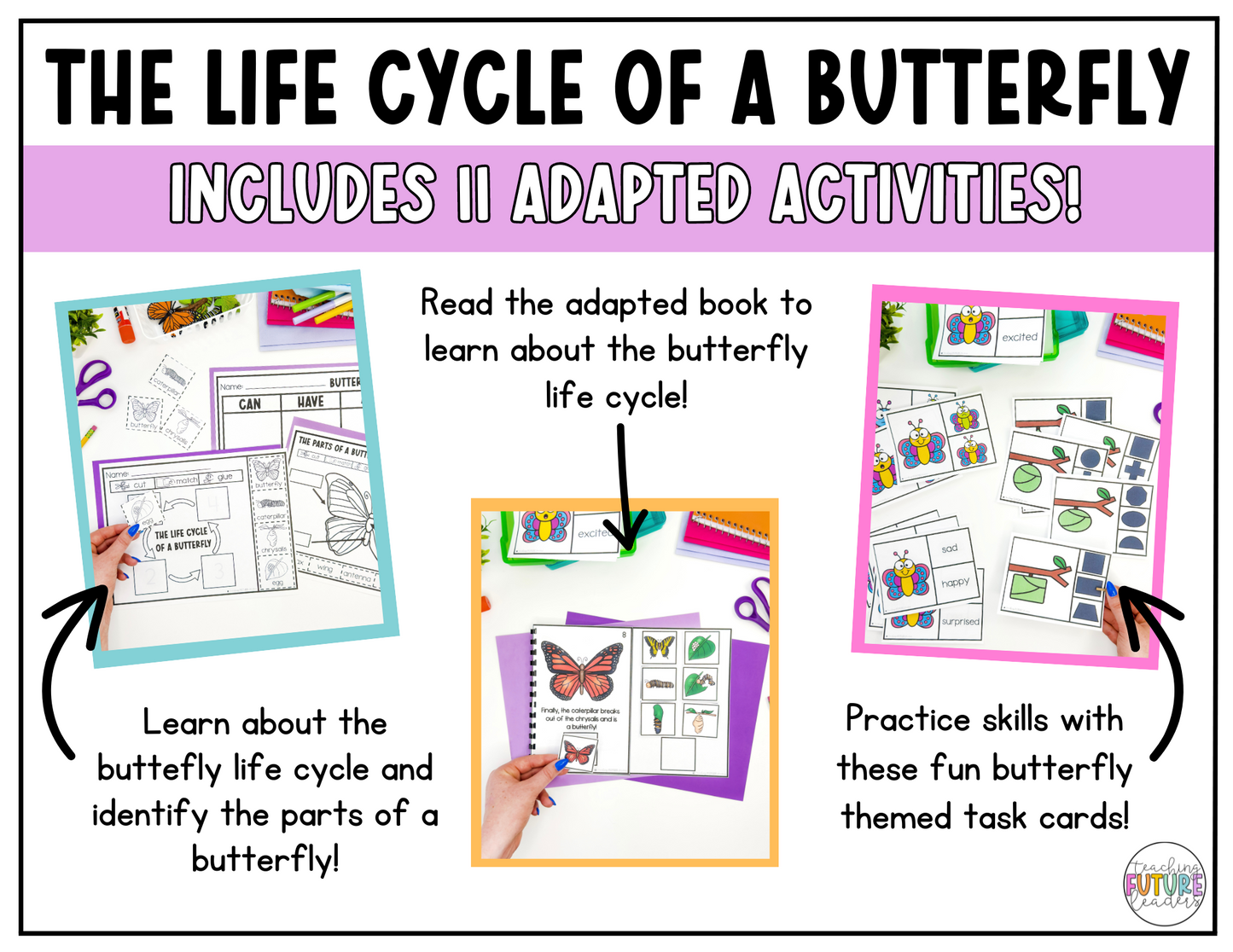 The Life Cycle of a Butterfly Adapted Unit