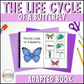 The Life Cycle of a Butterfly Adapted Book