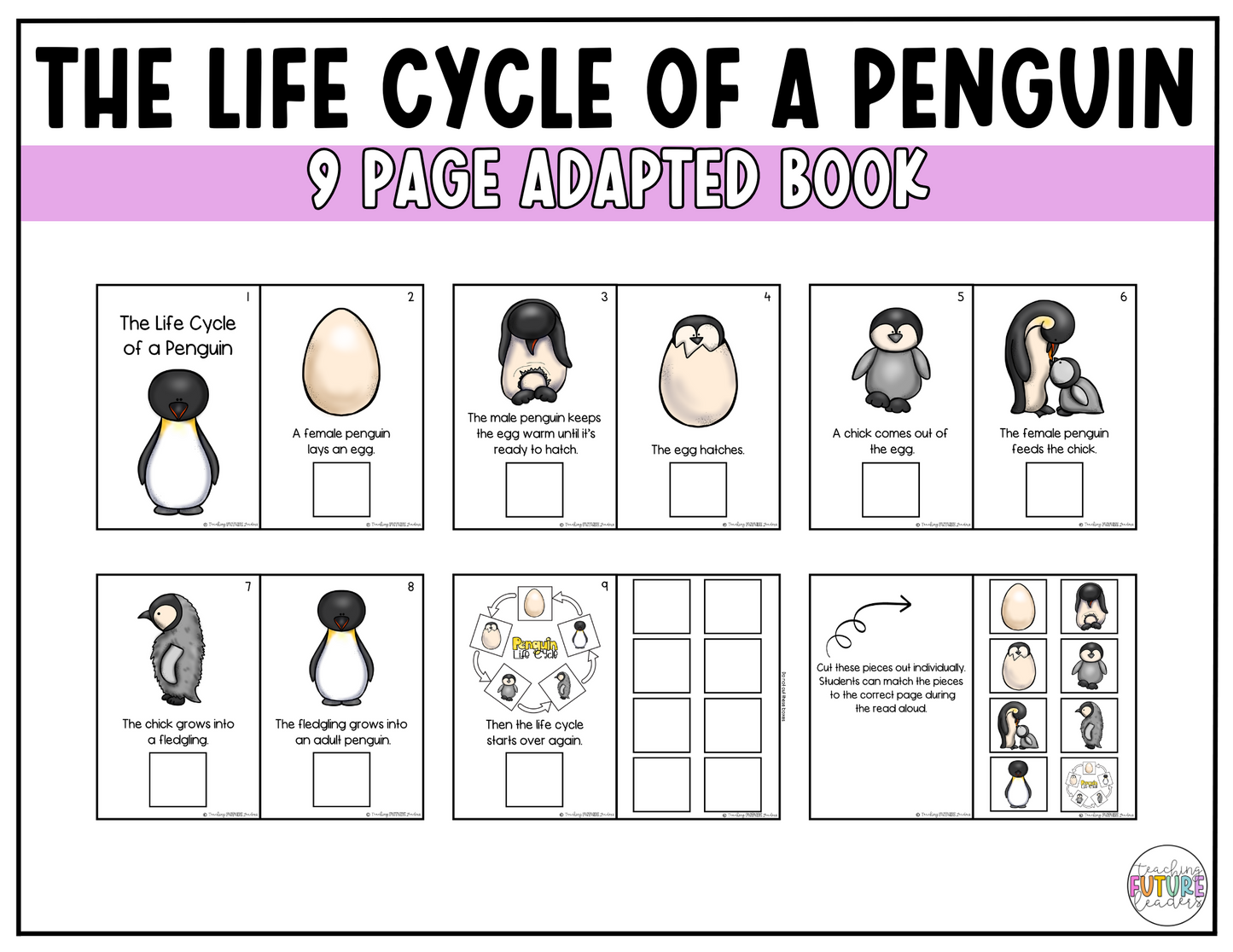 The Life Cycle of a Penguin Adapted Book