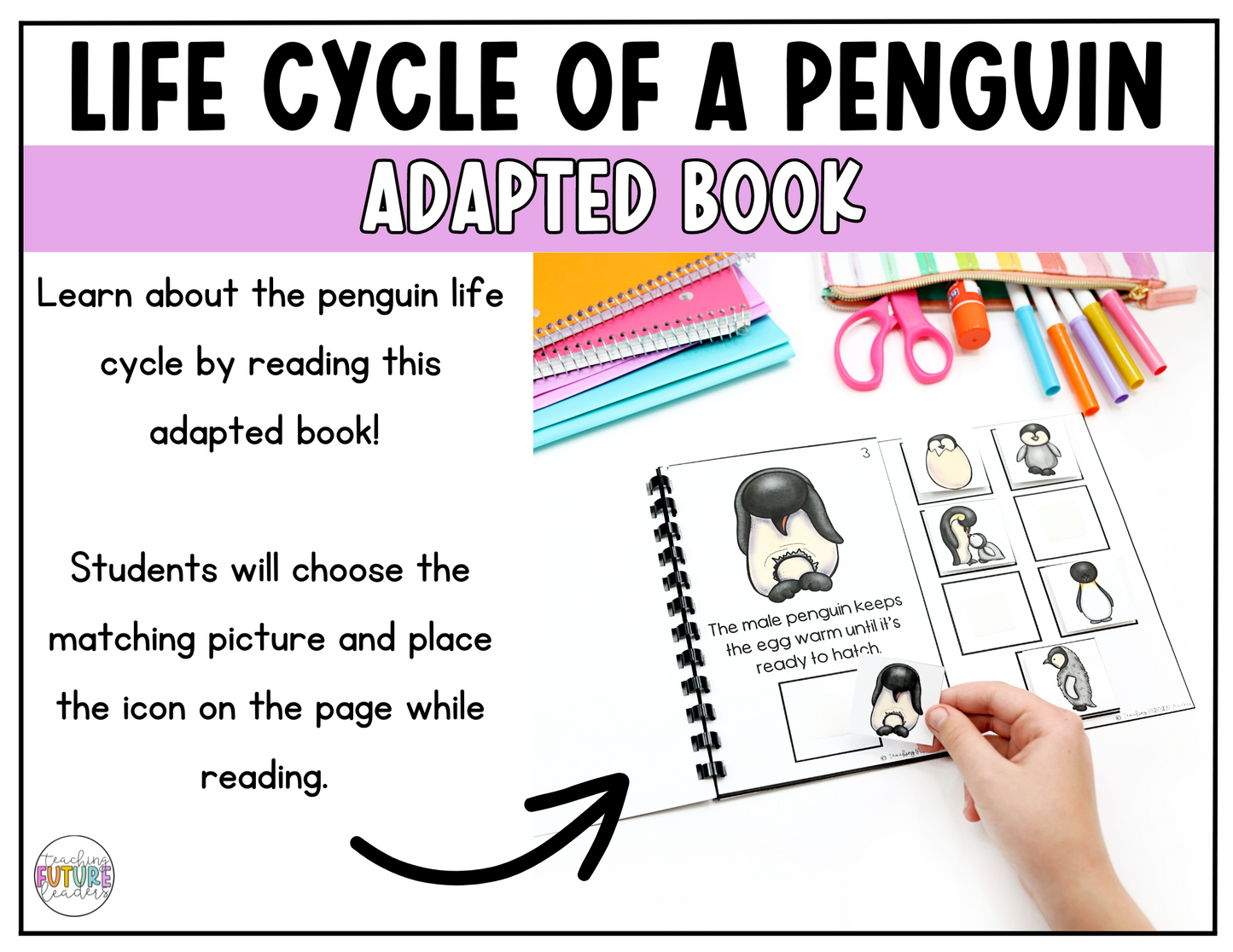 The Life Cycle of a Penguin Adapted Book