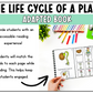 The Life Cycle of a Plant Adapted Book