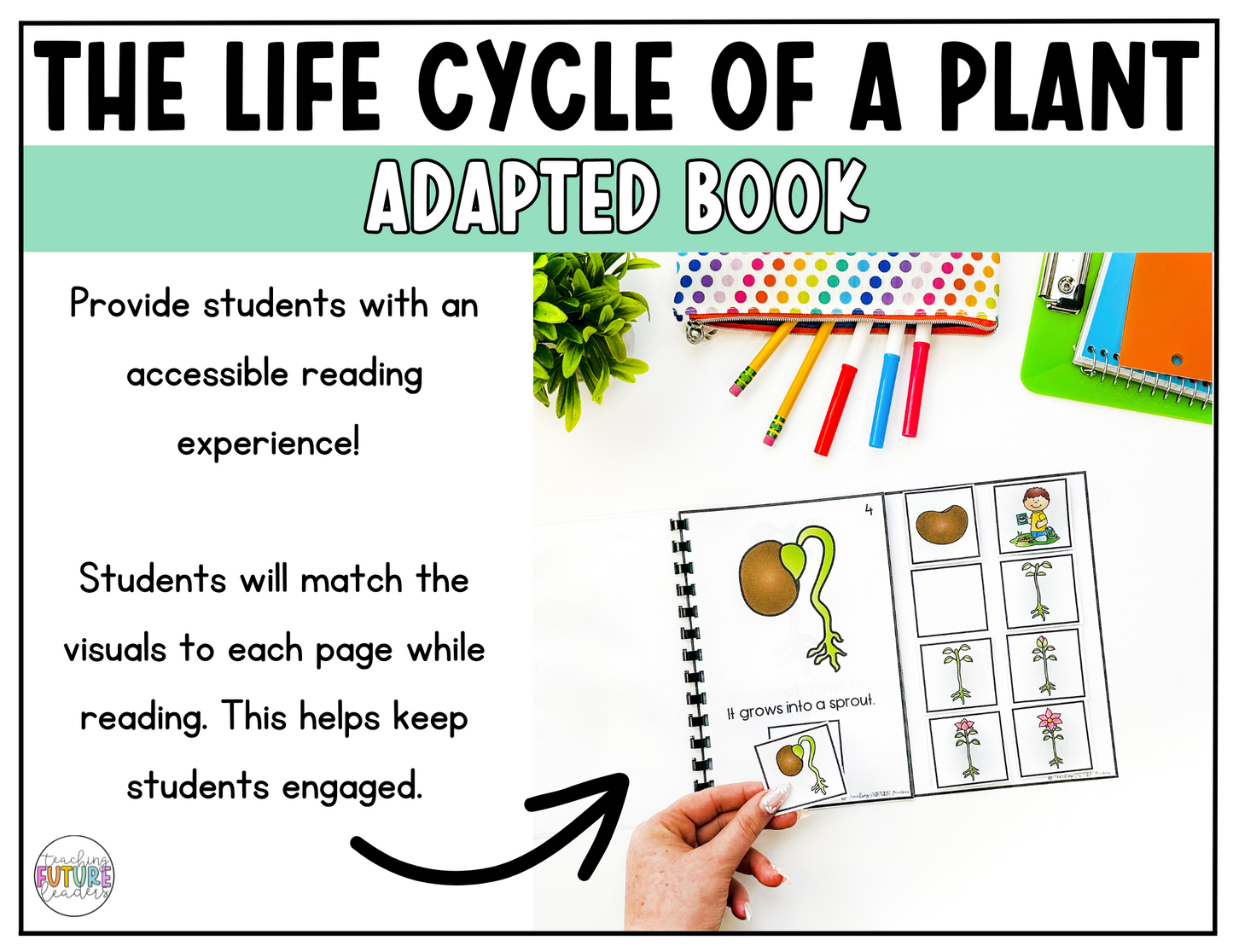 The Life Cycle of a Plant Adapted Book