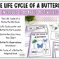 The Life Cycle of a Butterfly Adapted Unit