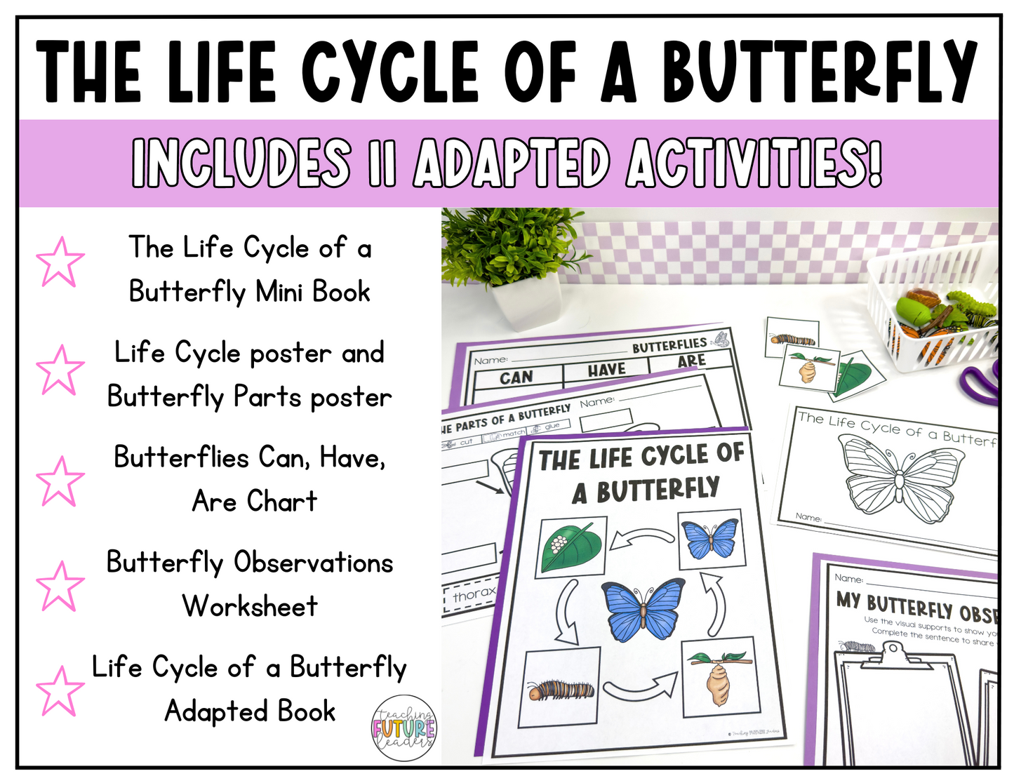 The Life Cycle of a Butterfly Adapted Unit